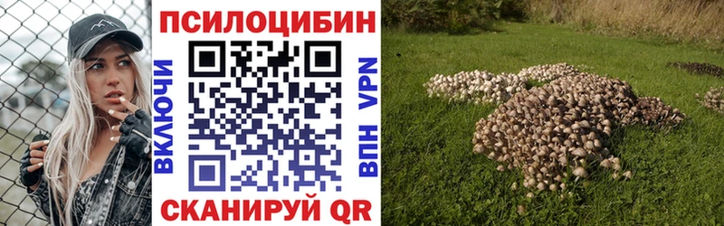 закладки  Заинск  Псилоцибиновые грибы Magic Shrooms 